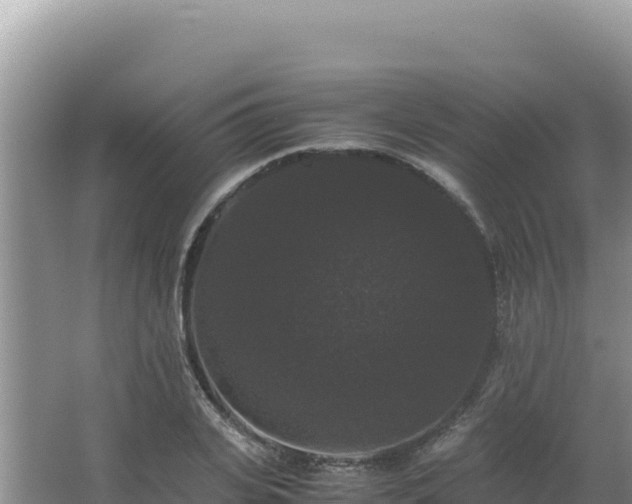 X0000062850935200601171507