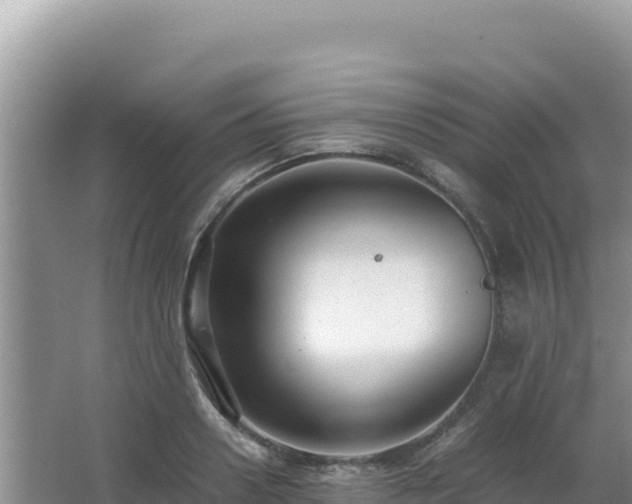 X0000062850938200601171507