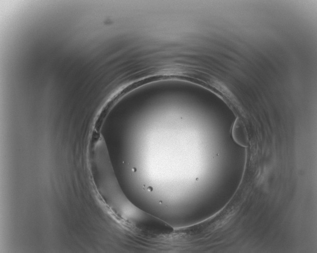 X0000062850939200601171507