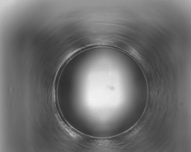 X0000062850940200601171507