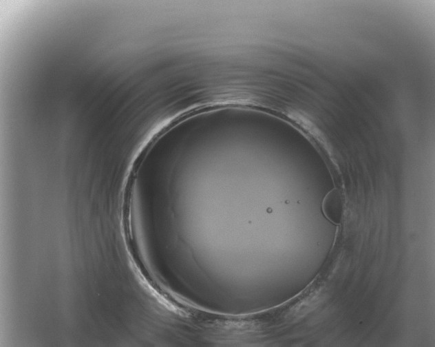 X0000062850941200601171507