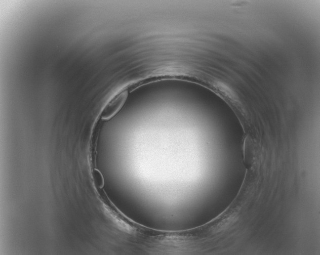 X0000062850942200601171507