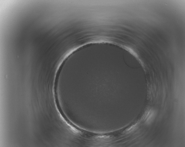 X0000062850943200601171507