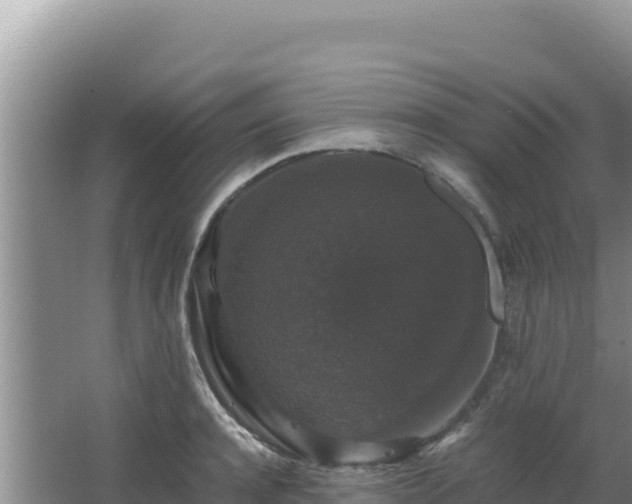 X0000062850944200601171507