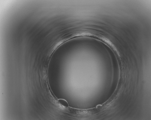 X0000062850945200601171507