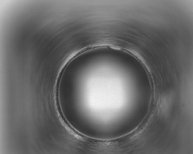 X0000062850949200601171508