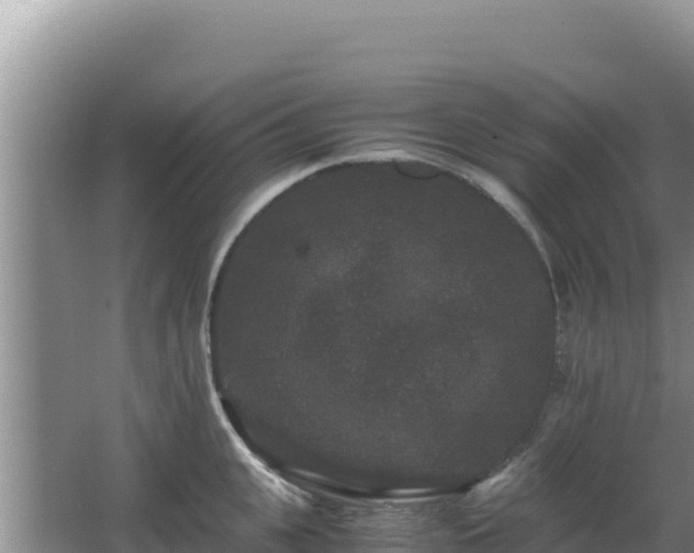 X0000062850951200601171508