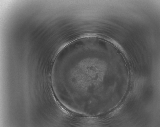 X0000062850953200601171508