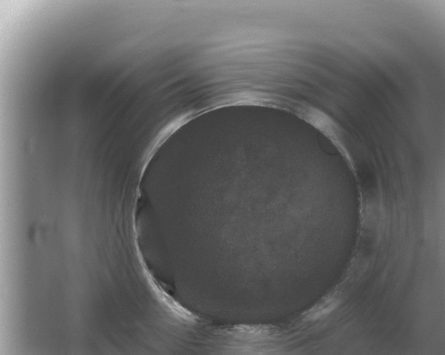 X0000062850954200601171508