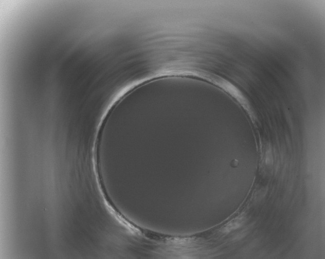 X0000062850958200601171508