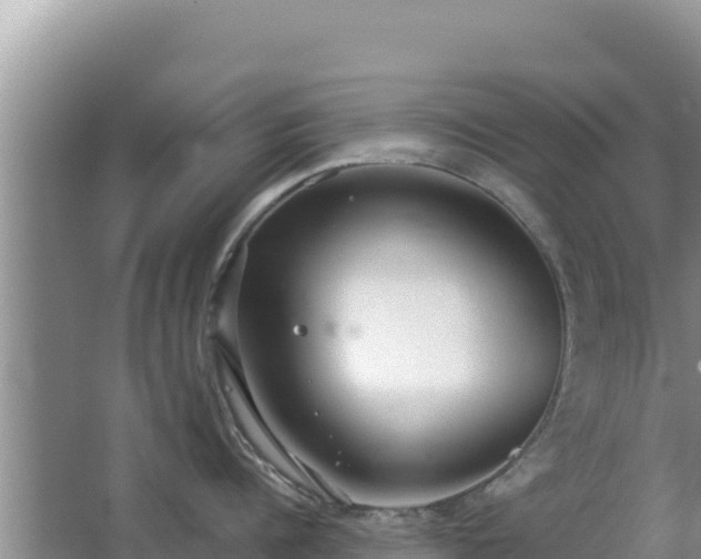 X0000062850960200601171508