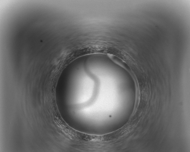 X0000062850961200601171507