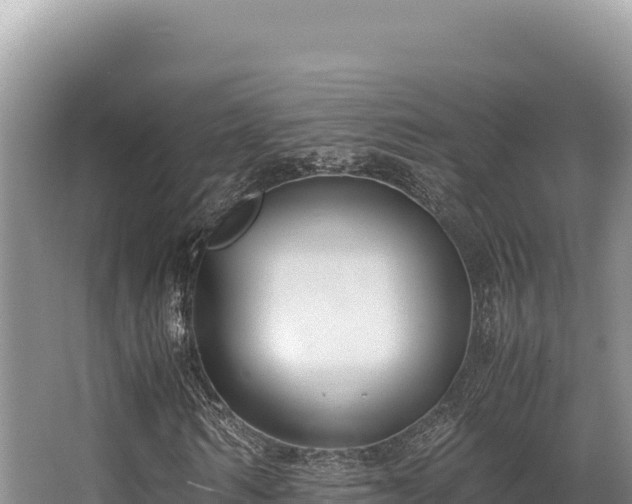 X0000062850962200601171507