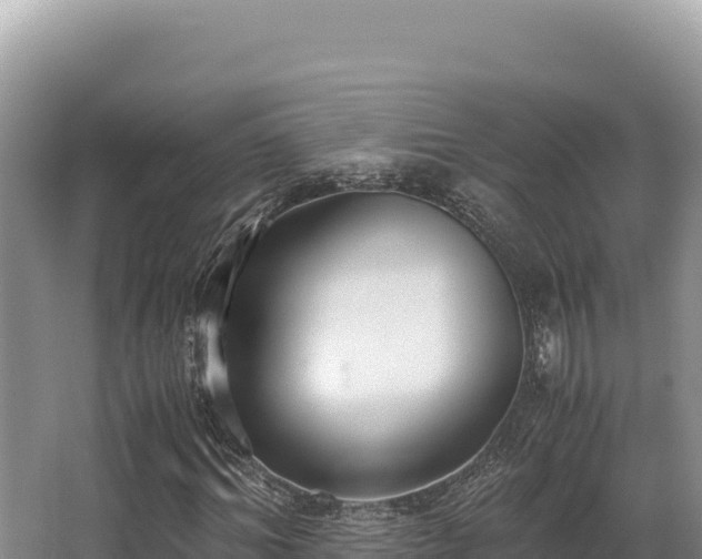 X0000062850964200601171507