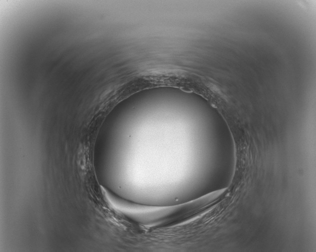 X0000062850965200601171507