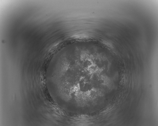 X0000062850966200601171507