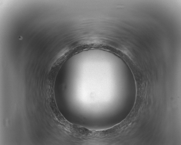 X0000062850967200601171507