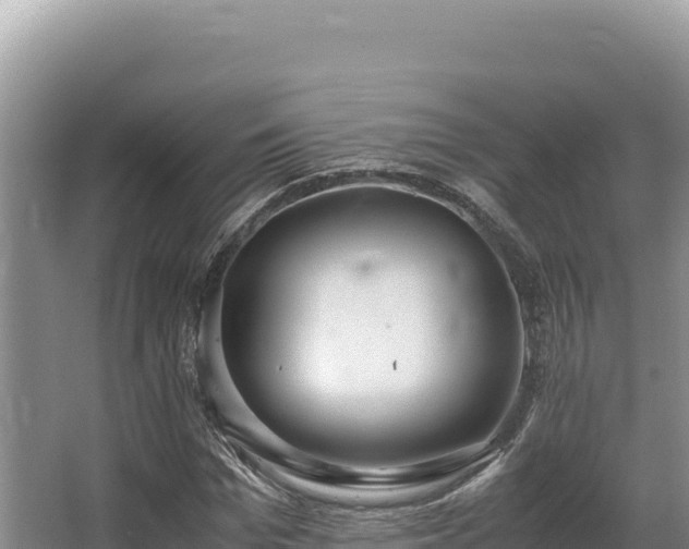 X0000062850969200601171507