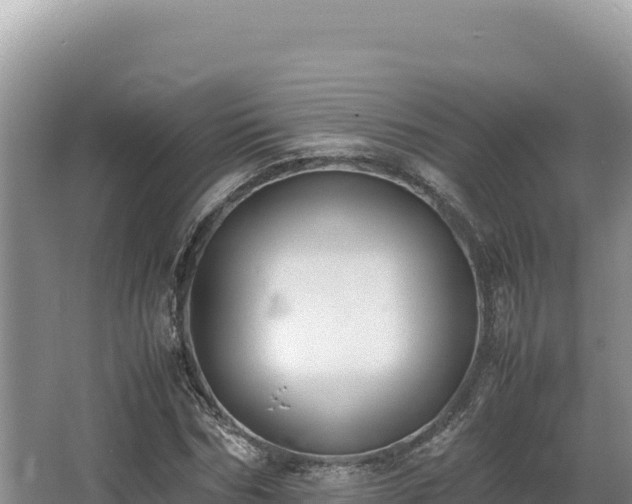 X0000062850970200601171507