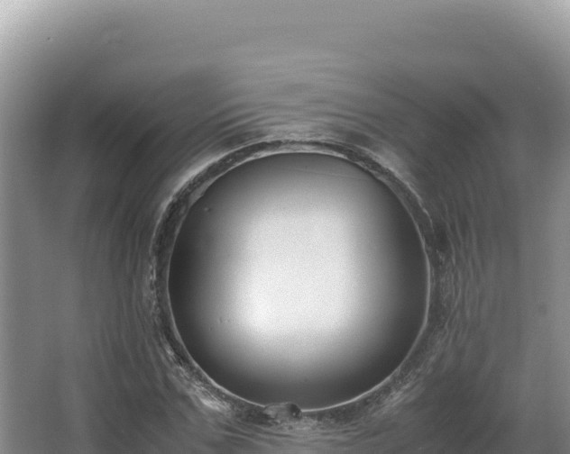 X0000062850971200601171507