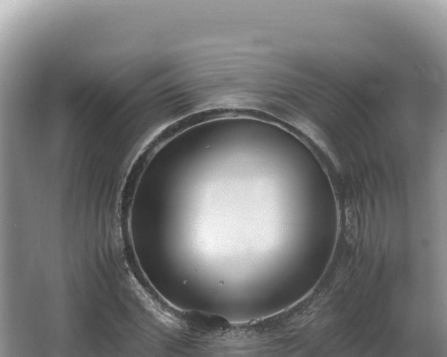 X0000062850972200601171507