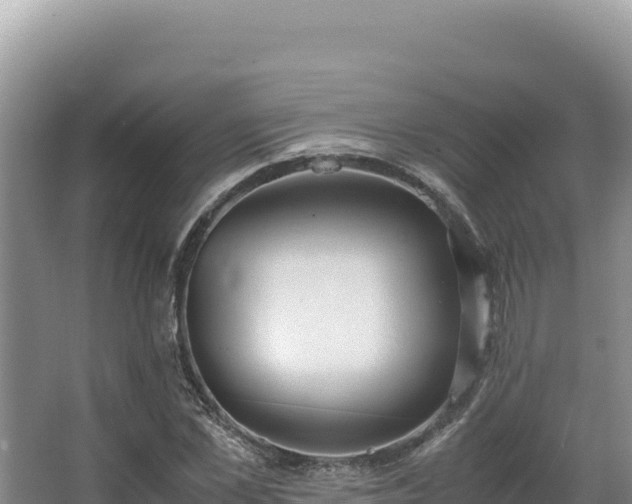 X0000062850973200601171507