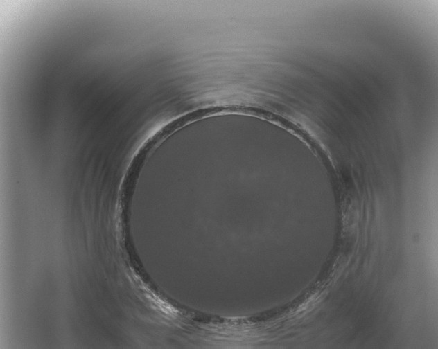 X0000062850975200601171507