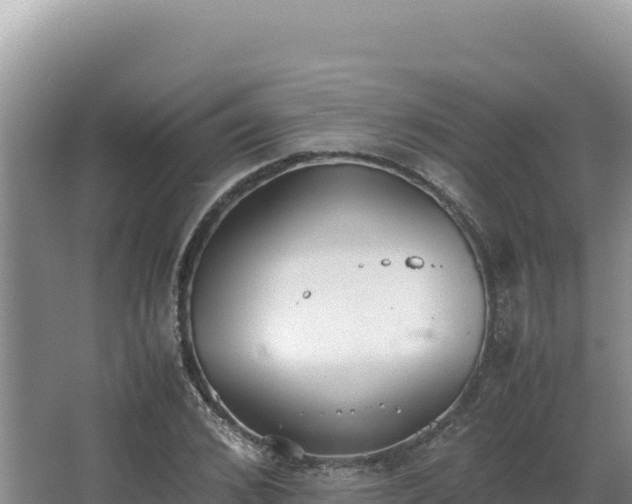 X0000062850976200601171507