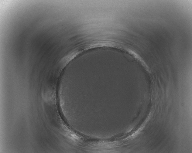 X0000062850977200601171507