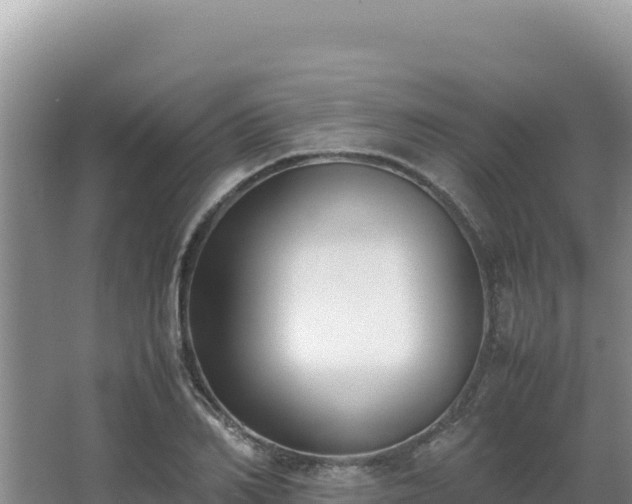 X0000062850982200601171507