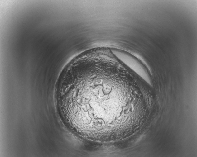 X0000062850983200601171507