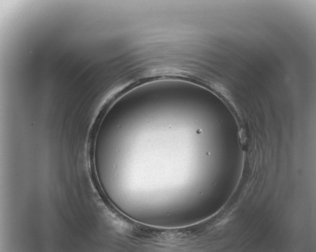 X0000062850987200601171506