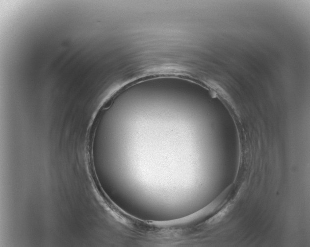 X0000062850989200601171506