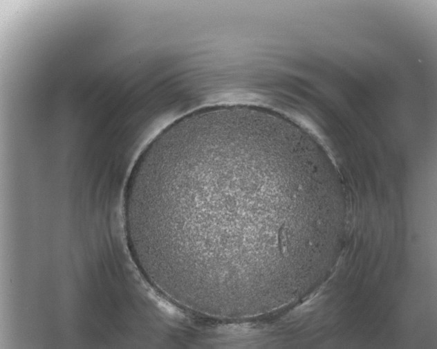 X0000062850990200601171506