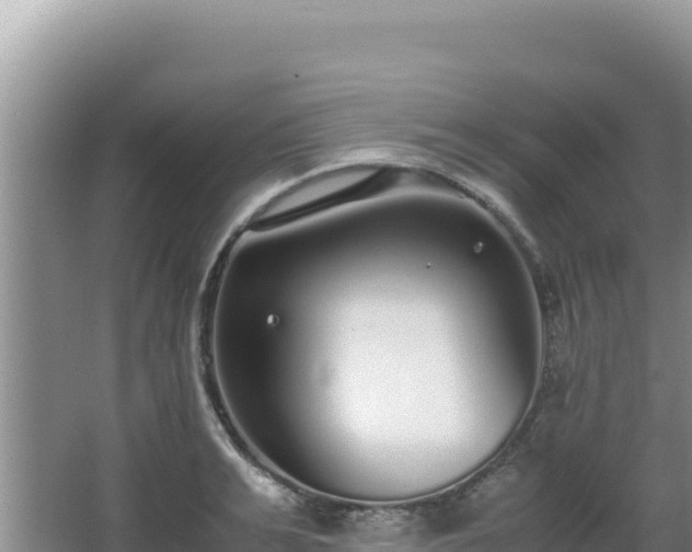 X0000062850991200601171506