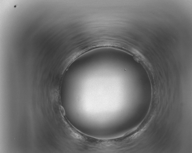 X0000062850993200601171506