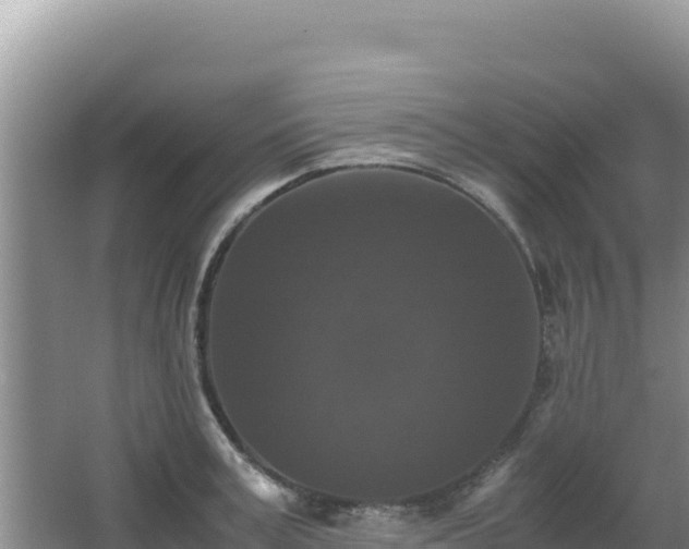 X0000062850995200601171506