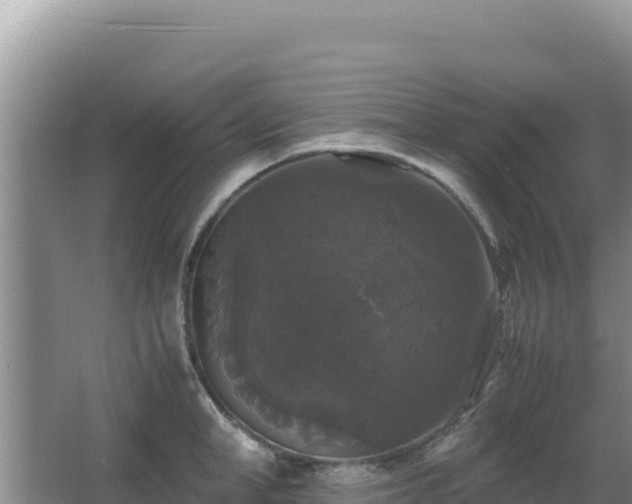 X0000062850998200601171506