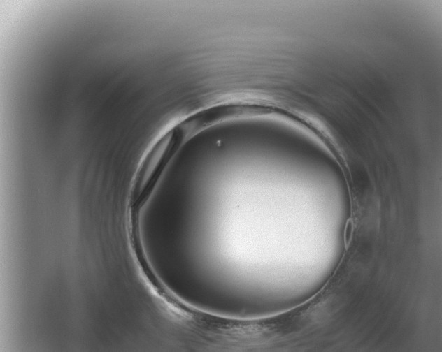 X0000062850999200601171506