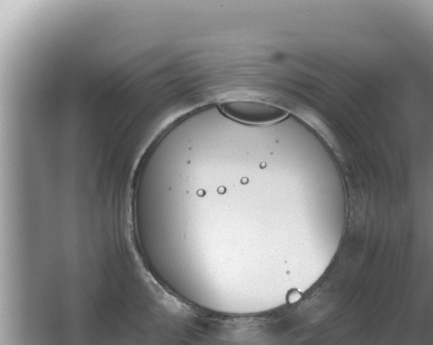 X0000062851000200601171506