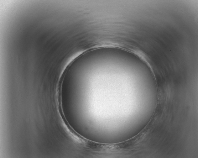 X0000062851003200601171506