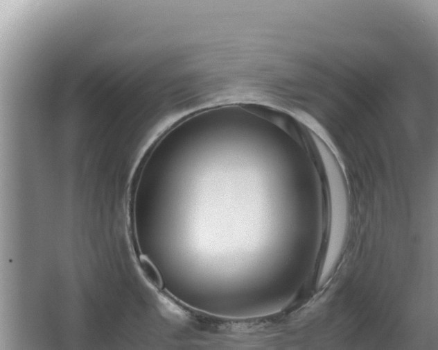 X0000062851005200601171506