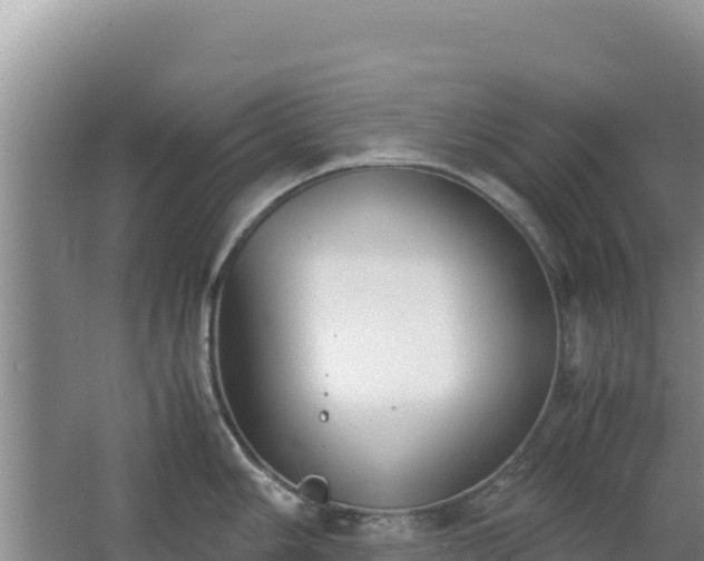 X0000062851006200601171506