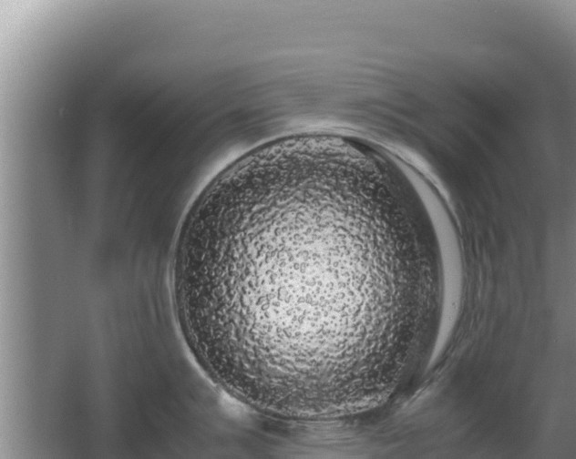 X0000062851007200601171506