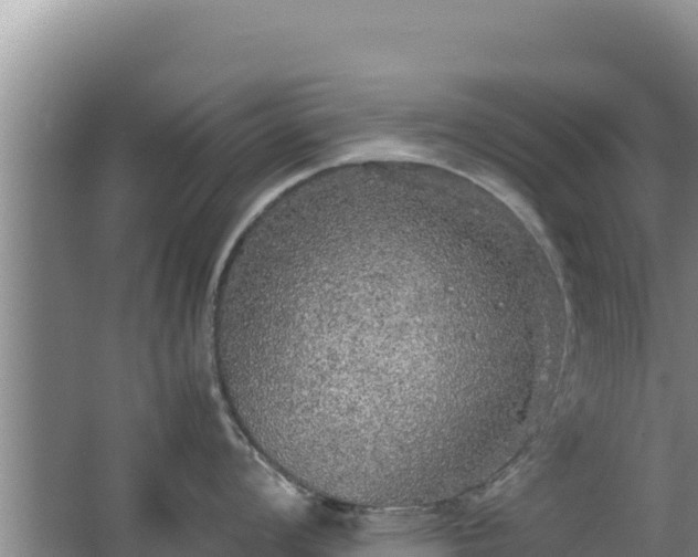 X0000062851008200601171506