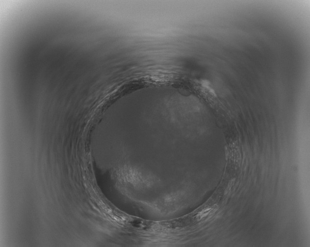 X0000062851009200601171505