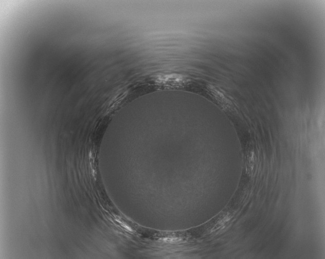 X0000062851010200601171505