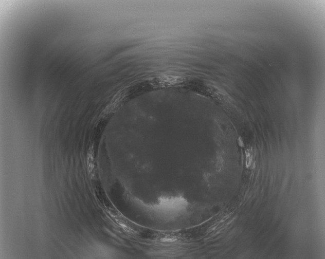 X0000062851011200601171505