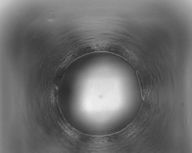 X0000062851012200601171505