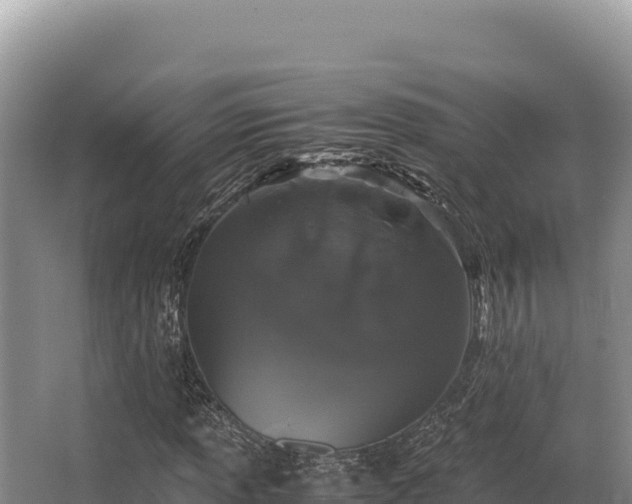 X0000062851013200601171505